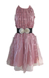Ballerina Dress - Pink